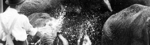2010-07-08-spray.jpg