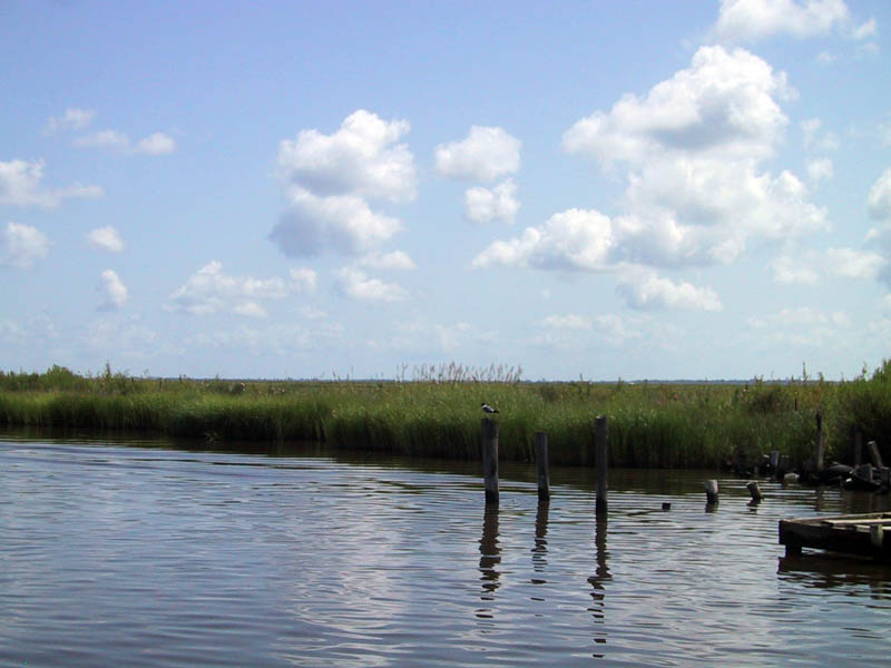 2010-08-02-marshes.jpg