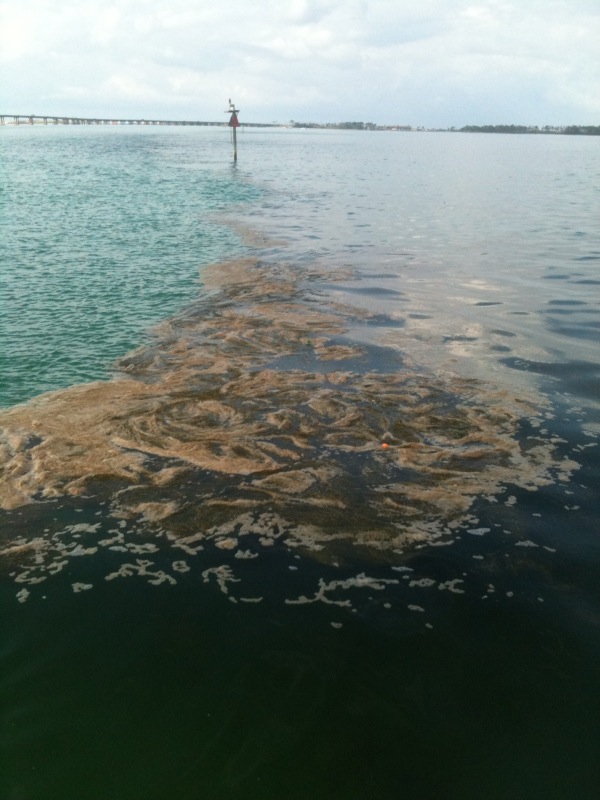 2010-08-11-VOOYerkes805Destin.jpg