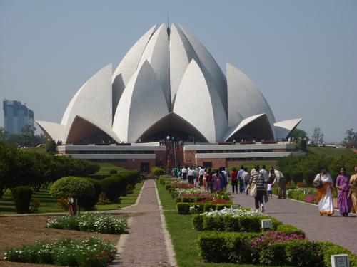 2010-08-12-lotus.jpg