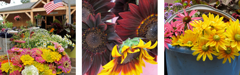 2010-08-17-row9.jpg