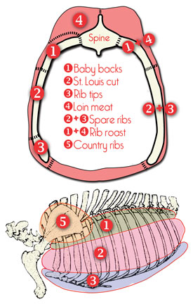 What are some different cuts of pork?