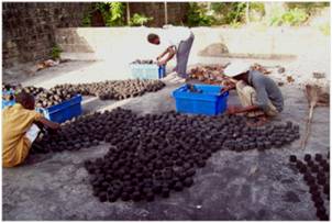 2010-10-06-Zafen_Haitian_Microfinance_Effort_D.jpg