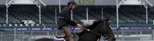 2010-11-05-pullhorse.jpg