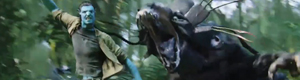 2010-11-10-avatar.jpg