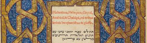 2010-11-10-language.jpg