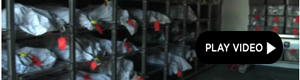 2010-11-17-morgue.jpg