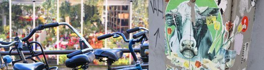 2010-11-23-amsterdampull.jpg