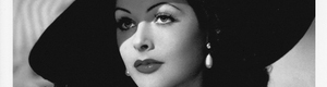 2010-11-30-hedy3.jpg