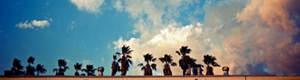2010-12-06-skyline.jpg