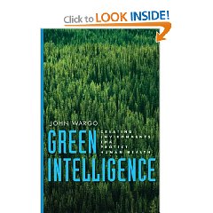 2010-12-26-covergreenintelligence.jpg
