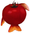 Image result for tomato fish