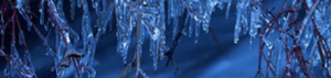2011-01-03-jyhg.jpg