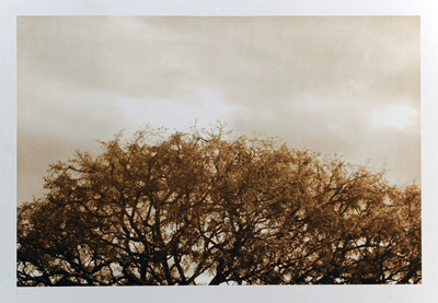 2011-01-06-AB_0292smallx400.jpg
