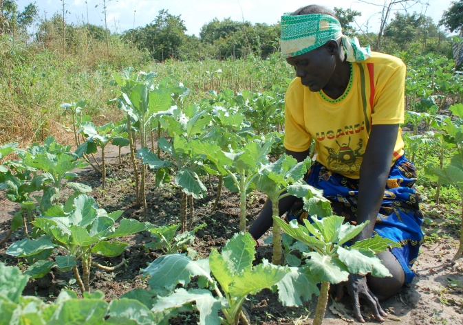 2011-01-07-sudanref7.JPG