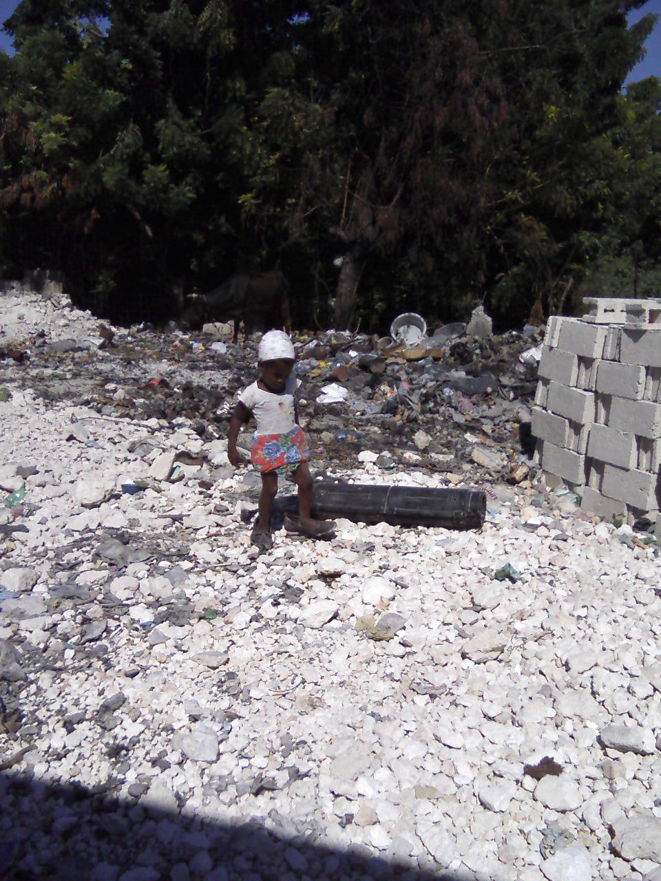 Mark Schuller: Haiti One Year Later: Light at the End of the ...