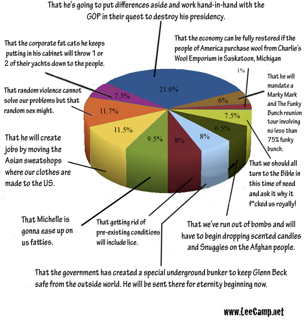 2011-01-24-piechart_SOTU.jpg