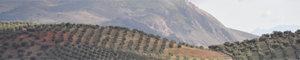 2011-01-28-spaindesert.jpg