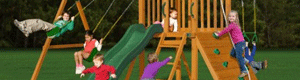 2011-02-10-costcocongo.gif