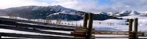 2011-02-14-YELLOW.png