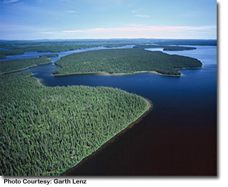 a photo from above of the boreal forest - Photo Courtesy: Garth Lenz