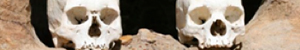 2011-02-18-skul.jpg