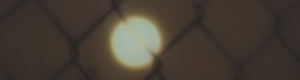 2011-02-21-fence.jpg