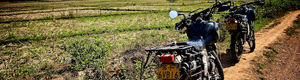 2011-02-26-asiancyclepull.gif