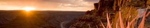 2011-03-09-namibia.jpg