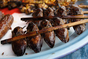 2011-03-17-fried_cockroaches_laos.jpg