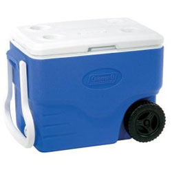 2011-03-25-faux_cambro.jpg