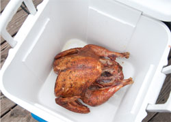 2011-03-25-faux_cambro1.jpg