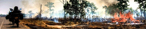 2011-03-27-20110326BurningHDR.gif