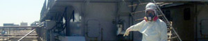 2011-04-07-fukushima.jpg
