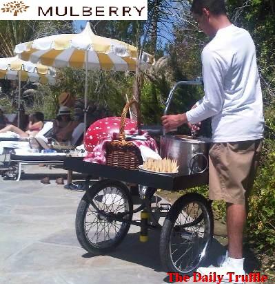 2011-04-22-Mulberrycoachellaparty3b.jpg