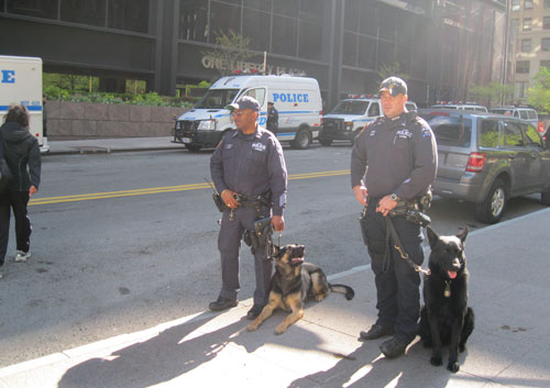 2011-05-05-k9.jpg