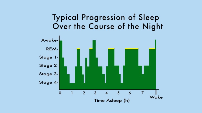 Normal Sleep Pattern Chart