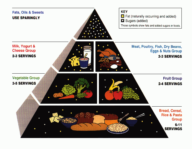 Easy Food Pyramid