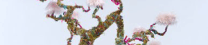 2011-06-02-bonzaitree.gif