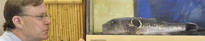 2011-06-24-blowfish.jpg
