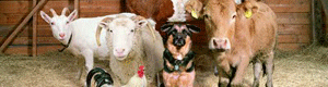 2011-07-08-farmfamily.gif