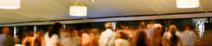 2011-07-11-weddingpull.gif