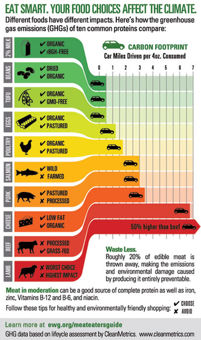 Vegan Vs Vegetarian Chart