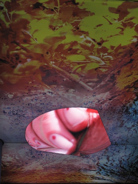 2011-07-23-7.jpeg