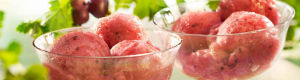 2011-07-26-gooseberrysorbet.jpg