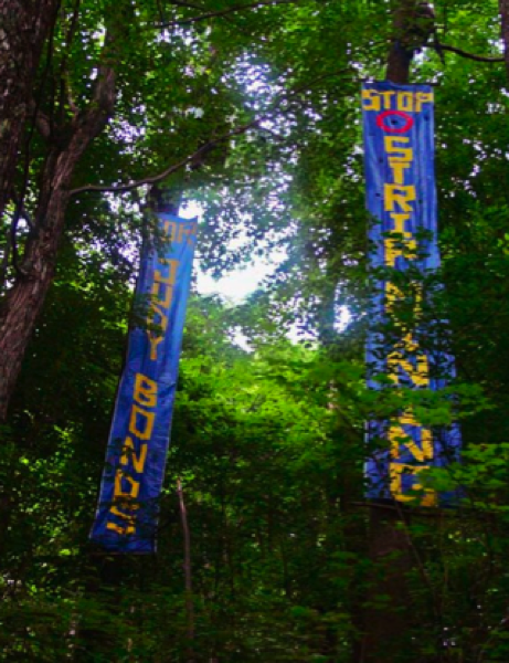 2011-07-29-Picture3.png