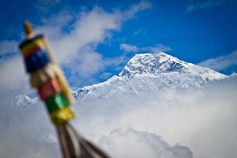 2011-09-19-PICOFTHEDAY.jpg