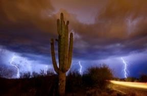 2011-10-31-storm.jpg