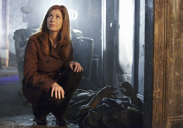 Dana Delany Anything But Desperate On Body Of Proof HuffPost