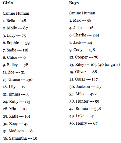 Celebrity Numbers on Of Some Celebrities  Naming Styles For Their Human And Pet Darlings